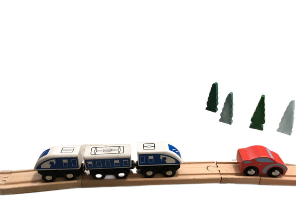 The Big Wooden Train Set