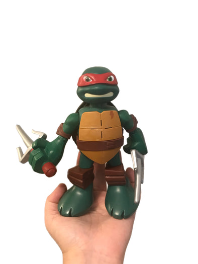 Raphael, the Teenage Mutant Ninja Turtle
