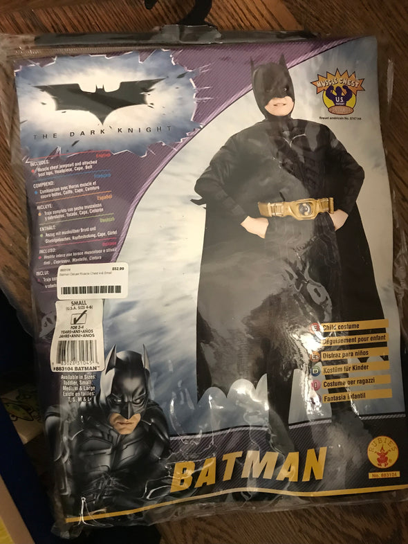 BRAND NEW Batman and Robin Costumes